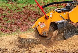 Best Soil Testing and Treatment  in Morton, MS